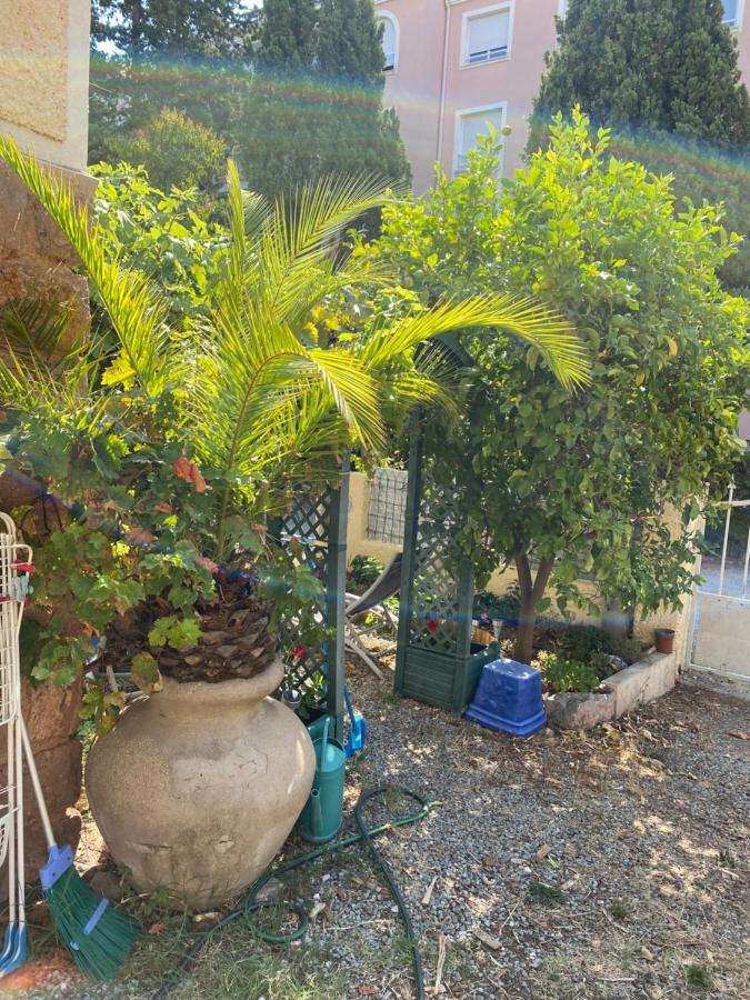 Jardin D'Eden Lägenhet Saint-Raphaël Exteriör bild